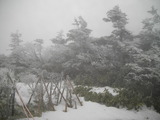 6544d08d.jpg