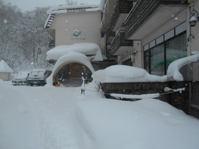 DSCN8872