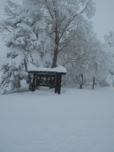 DSCN8885