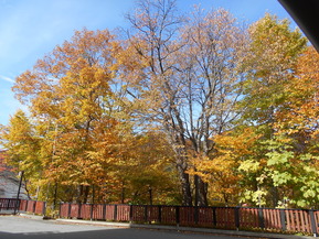 DSCN1328