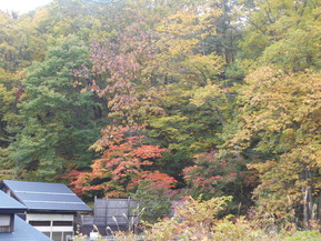 DSCN7810