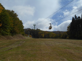 DSCN1993