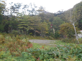 DSCN1799