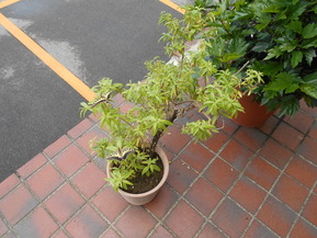 DSCN1114