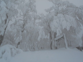 DSCN0360