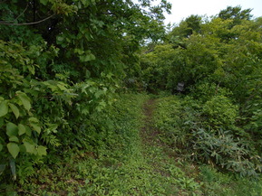 DSCN0731