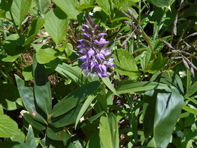 DSCN0814