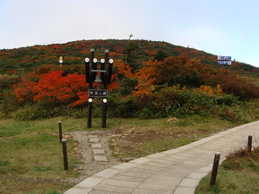 DSC07037