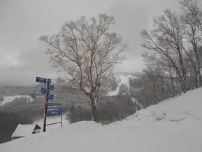 DSCN0394