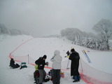 71e67f40.jpg