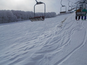 DSCN1779