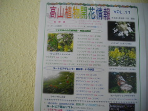 IMGP6098