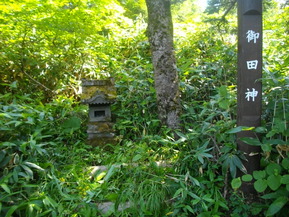 IMGP6216