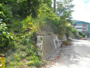 IMGP1802