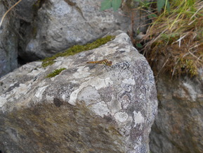 DSCN0999