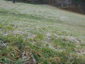 DSCN2187
