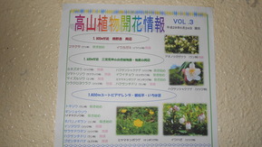 DSCN6878