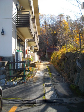 IMGP2767