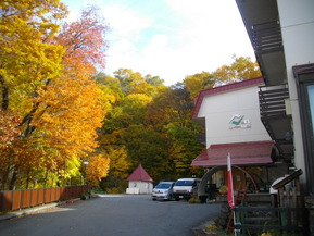 IMGP6895