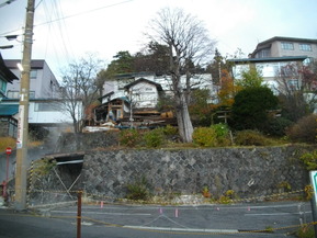 IMGP7113