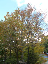 DSCN1253