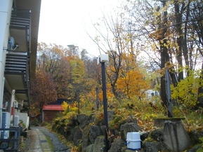 IMGP7045