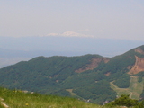 7c3d9259.jpg