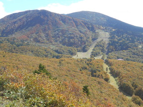 DSCN1724