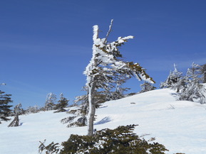 DSCN1774
