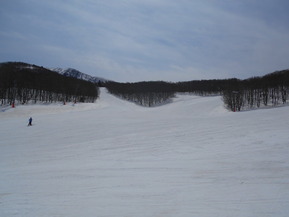 DSCN3471