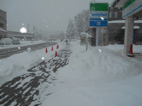 DSCN8869