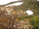 855224f2.jpg