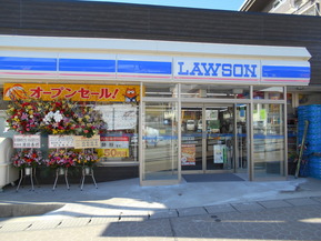 DSCN2590
