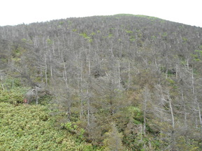 DSCN2607