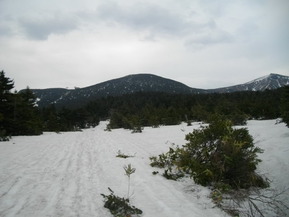 IMGP0299