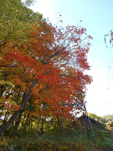 DSCN7745
