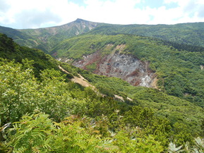 DSCN6776