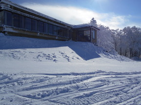 DSCN0226