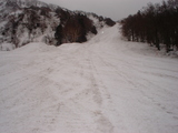 8e4844f1.jpg