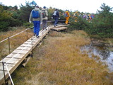 8f6682b8.jpg