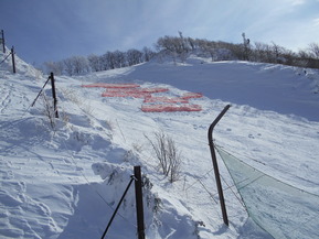 DSCN9125