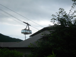 IMGP1102