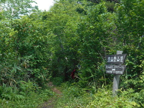 DSCN2372