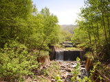 95f81995.JPG