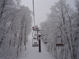 96b8197f.jpg