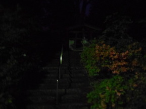 DSCN0691
