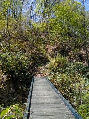 IMGP0543