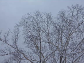 DSCN3416