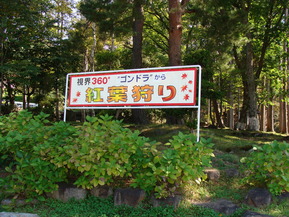 DSC07106