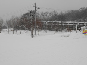 DSCN1120
